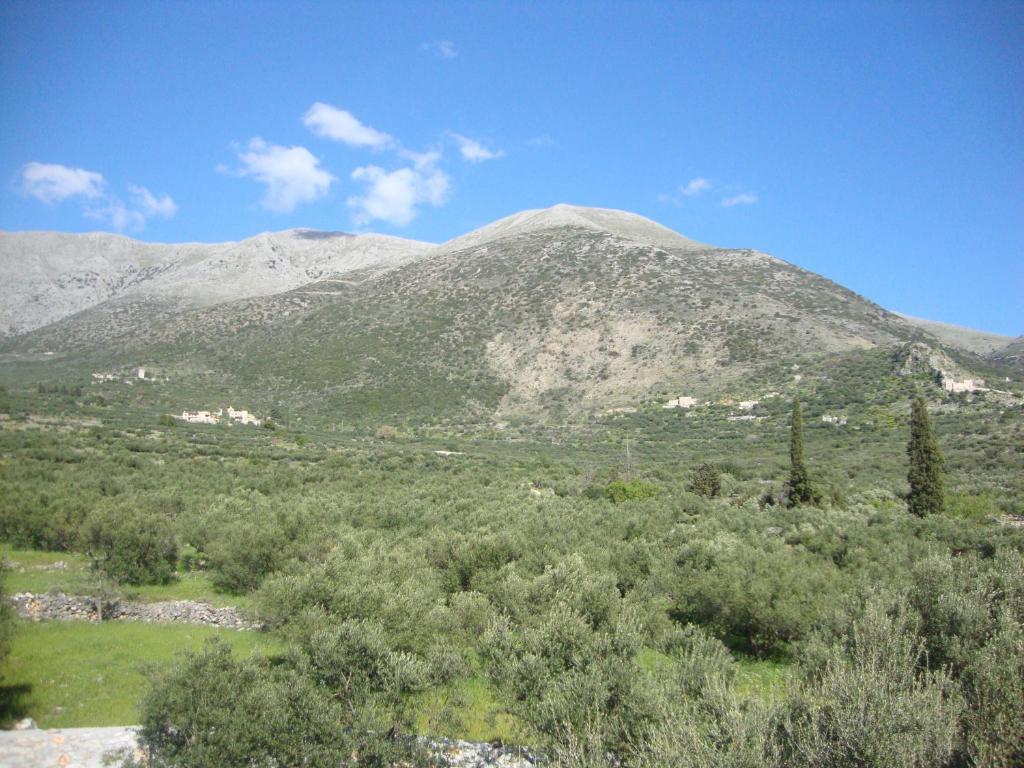 Kafiona Guesthouse Pírgos Dhiroú Esterno foto